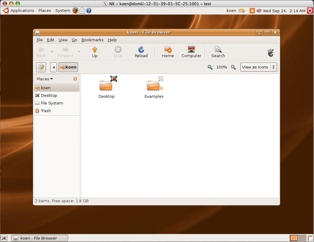 Ubuntu Desktop in X11